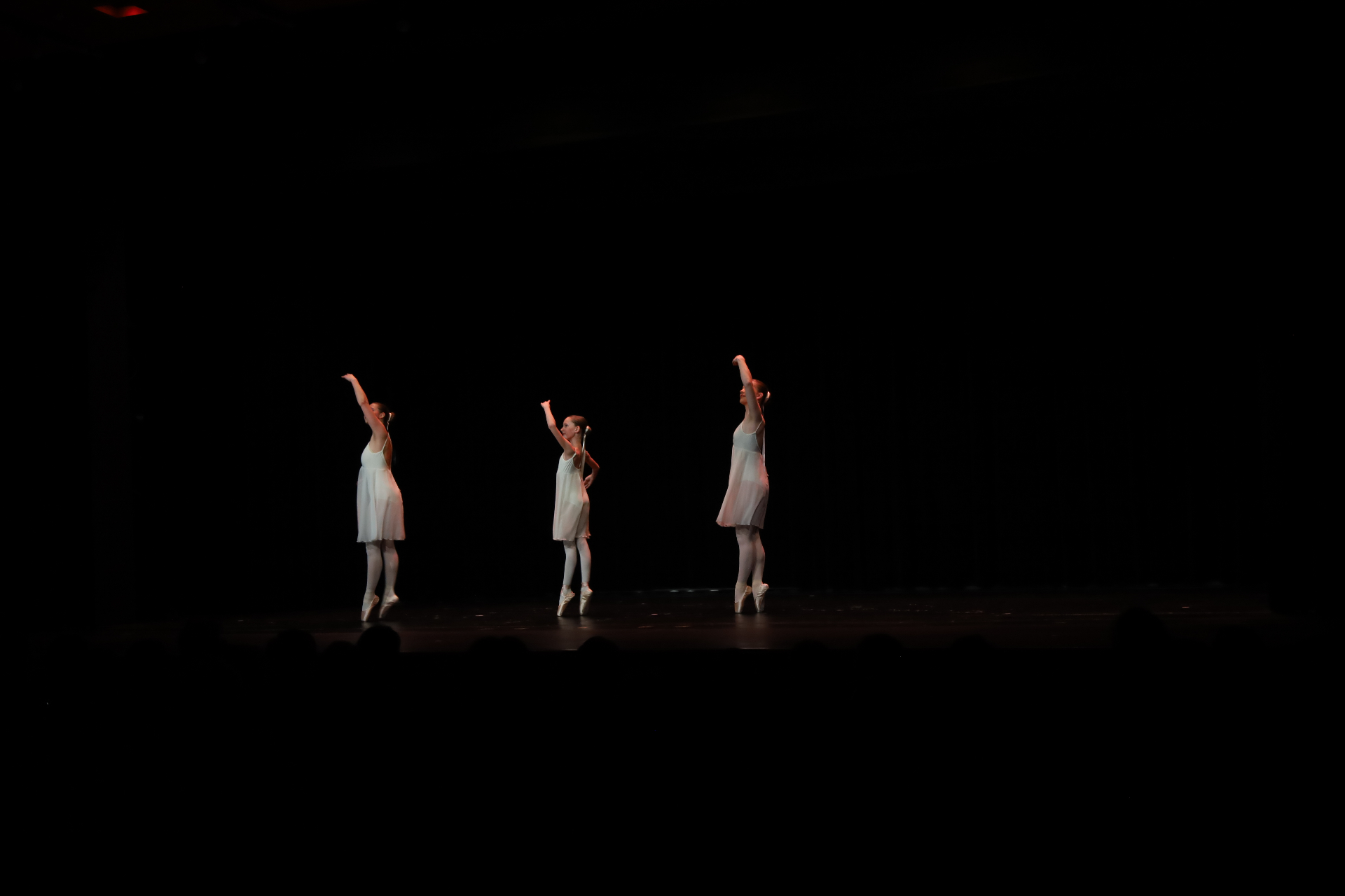 Tanzshow — 5